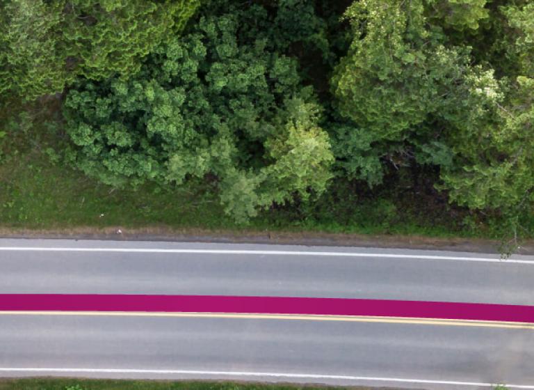 chb-Car rental with children